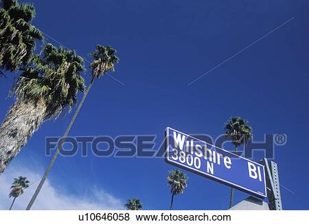 A sign that reads “Wilshire Bl” View Large Photo Image Stock Photo - A sign that reads “Wilshire Bl”. Fotosearch