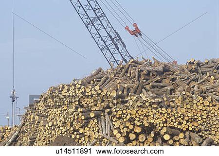 Stock Image - A tall crane moving logs at a paper mill from a large pile. Fotosearch