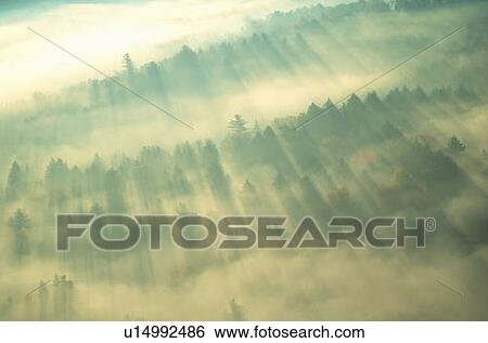 Aerial view of forest on a misty morning View Large Photo Image Stock Photograph - Aerial view of forest on a misty morning. Fotosearch