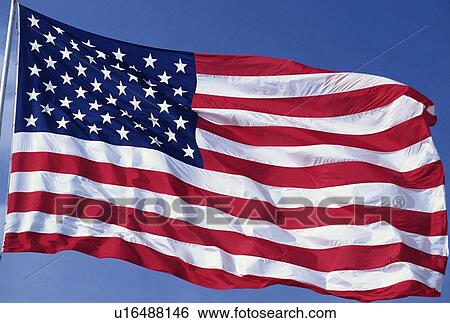 American flag blowing in the wind with a blue sky View Large Photo Image Stock Photograph - American flag blowing in the wind with a blue sky. Fotosearch