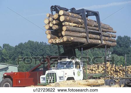 An industrial forklift loading a large bundle of logs onto a truck for transport View Large Photo Image Stock Image - An industrial forklift loading a large bundle of logs onto a truck for transport. Fotosearch