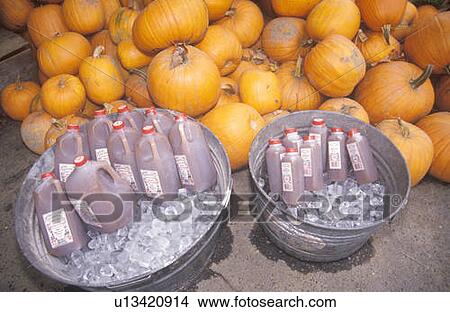 Apple Cider and Pumpkins for Sale, Vermont View Large Photo Image Picture - Apple Cider and Pumpkins for Sale, Vermont. Fotosearch