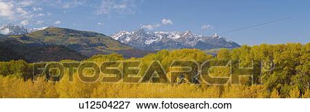 Stock Photo - Autumn at Sneffels Mountain Range, San Juan National Forest, Colorado. Fotosearch