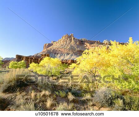 Stock Photo - Autumn, Capitol Reef National Park, Southern Utah. Fotosearch