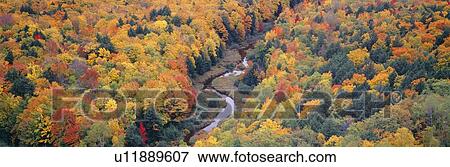 Stock Photo - Autumn color at Porcupine State Park, Michigan's Upper Peninsula, Michigan. Fotosearch