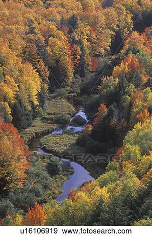 Autumn Leaves View Large Photo Image Stock Photo - Autumn Leaves. Fotosearch