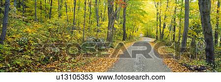 Autumn, Macedonia Brook State Park, Connecticut View Large Photo Image Stock Image - Autumn, Macedonia Brook State Park, Connecticut. Fotosearch