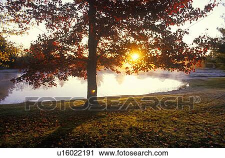 Autumn pond at sunset View Large Photo Image Stock Image - Autumn pond at sunset. Fotosearch