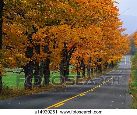 Autumn Road View Large Photo Image Stock Image - Autumn Road. Fotosearch