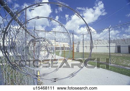 Barbed wire fence at prison View Large Photo Image Stock Image - Barbed wire fence at prison. Fotosearch