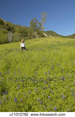 Stock Image - Blonde girl walking through green fields. Fotosearch