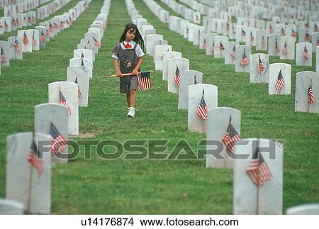 Picture - Brownie putting up flags, Veteran's National Cemetery, Los Angeles, California. Fotosearch