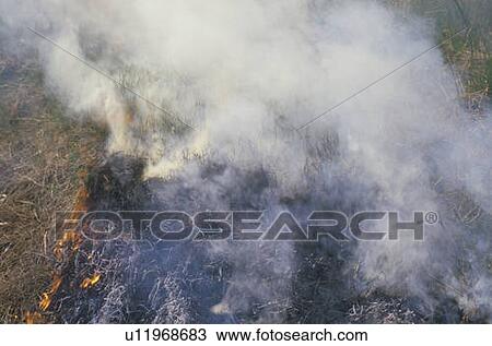 Stock Image - Brush fire. Fotosearch