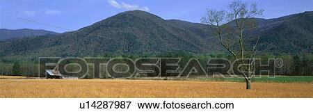 Cades Cove Pioneer Settlement, Great Smokey National Park, Tennessee View Large Photo Image Stock Photo - Cades Cove Pioneer Settlement, Great Smokey National Park, Tennessee. Fotosearch