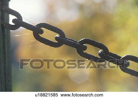 Stock Photography - Chain on a gate. Fotosearch