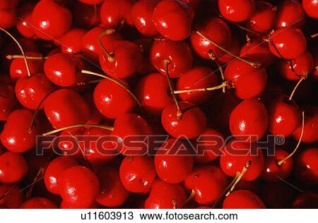 Stock Image - Close-up of picked cherries. Fotosearch