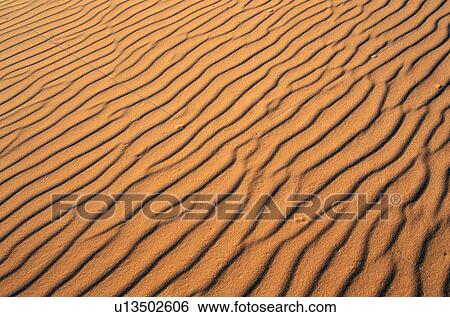 Close up of sand in Coral Pink Sand Dunes State Park, southern UT View Large Photo Image Stock Photograph - Close up of sand in Coral Pink Sand Dunes State Park, southern UT. Fotosearch