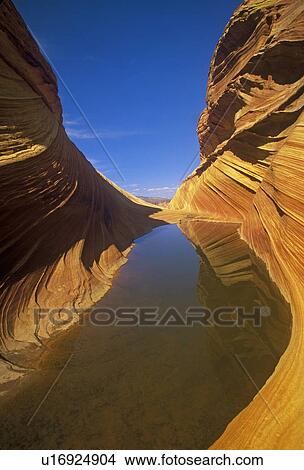 Close up of sandstone stripes, 'The Wave' on Kenab Coyote Butte, BLM, Slot Canyon, UT View Large Photo Image Picture - Close up of sandstone stripes, 'The Wave' on Kenab Coyote Butte, BLM, Slot Canyon, UT. Fotosearch