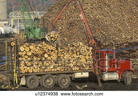 Cranes adding logs to the large pile of wood ready to be made into paper View Large Photo Image Stock Photo - Cranes adding logs to the large pile of wood ready to be made into paper. Fotosearch