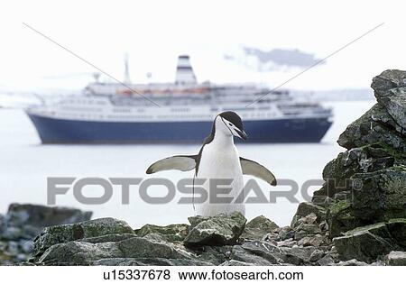 Stock Photo - Cruise ship in Antarctica. Fotosearch