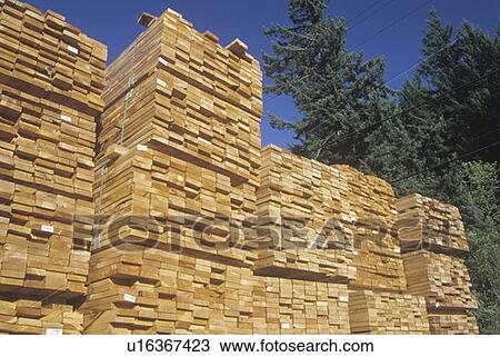 Cut lumber neatly stacked at a lumber yard View Large Photo Image Stock Image - Cut lumber neatly stacked at a lumber yard. Fotosearch