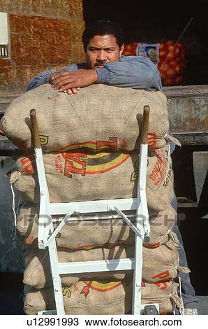 Deliveryman with sacks of potatoes on a dolly View Large Photo Image Stock Image - Deliveryman with sacks of potatoes on a dolly. Fotosearch
