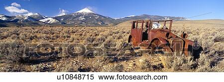 Deserted Car with Cow Skeleton, Great Basin, Nevada View Large Photo Image Stock Photography - Deserted Car with Cow Skeleton, Great Basin, Nevada. Fotosearch