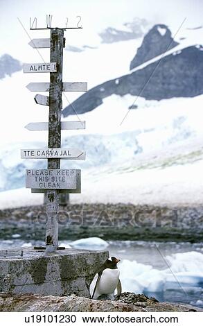 Stock Image - Directional sign and penguin. Fotosearch