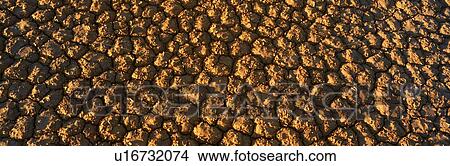 Picture - Dry Lakebed. Fotosearch