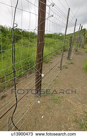 Electric fence of Siyakwemukela Hluhluwe Umfolozi Game Reserve, South Africa View Large Photo Image Stock Image - Electric fence of Siyakwemukela Hluhluwe Umfolozi Game Reserve, South Africa. Fotosearch
