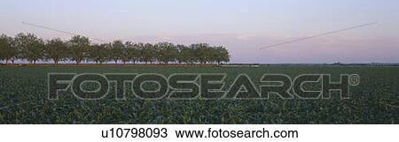 Farm Fields outside of San Antonio, Texas View Large Photo Image Stock Image - Farm Fields outside of San Antonio, Texas. Fotosearch