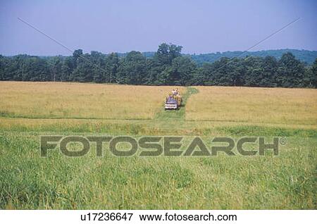 Stock Photo - Farm machinery mowing in field. Fotosearch
