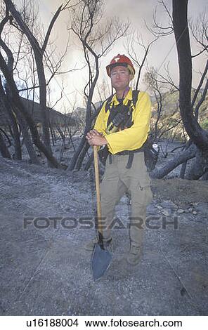 Forest fire fighter holding shovel View Large Photo Image Picture - Forest fire fighter holding shovel. Fotosearch