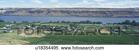 Stock Photography - Fruit Orchards, Columbia River Gorge, Washington. Fotosearch