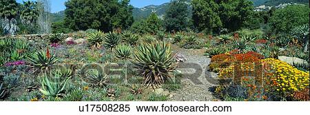 Gardens in Spring View Large Photo Image Stock Photography - Gardens in Spring. Fotosearch
