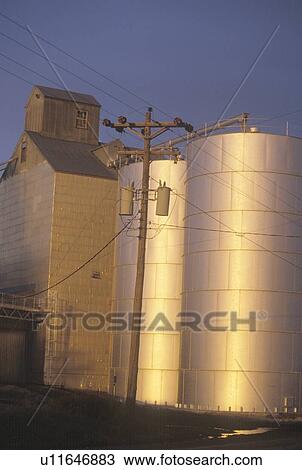 Grain silos at sunset View Large Photo Image Stock Image - Grain silos at sunset. Fotosearch