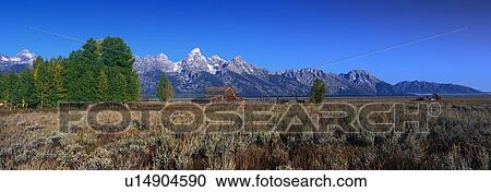 Grand Teton National Park View Large Photo Image Stock Image - Grand Teton National Park. Fotosearch