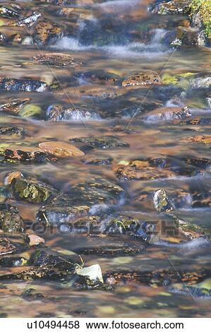 Gurgling Brook View Large Photo Image Stock Photo - Gurgling Brook. Fotosearch