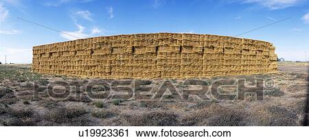 Hay Stacks, Eastern Washington View Large Photo Image Stock Image - Hay Stacks, Eastern Washington. Fotosearch