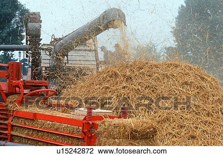 Hay thresher View Large Photo Image Stock Image - Hay thresher. Fotosearch