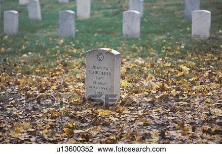 Headstone at Arlington National Cemetery in autumn, Washington D. C. View Large Photo Image Stock Image - Headstone at Arlington National Cemetery in autumn, Washington D. C.. Fotosearch
