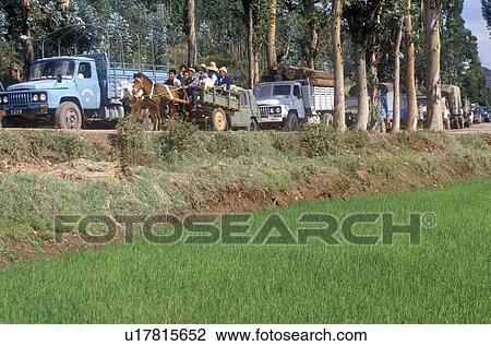 Stock Image - Horse drawn carts overtaking trucks in traffic jam in Dali. Fotosearch