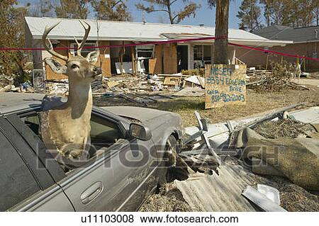 Hurricane Ivan Damage View Large Photo Image Stock Photo - Hurricane Ivan Damage. Fotosearch