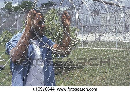 Inmate at barbed wire fence, Dade County Men's Correctional Facility View Large Photo Image Picture - Inmate at barbed wire fence, Dade County Men's Correctional Facility. Fotosearch