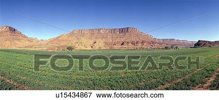 Stock Photo - Irrigated field. Fotosearch