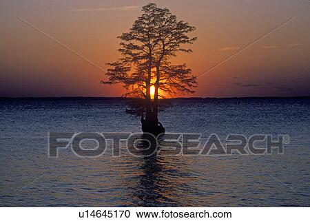 Stock Image - James River at Sunset, Jamestown, VA. Fotosearch
