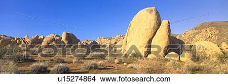 Joshua Tree National Park, Spring, California View Large Photo Image Picture - Joshua Tree National Park, Spring, California. Fotosearch