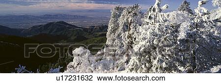 Lake Arrowhead In Winter, California View Large Photo Image Stock Image - Lake Arrowhead In Winter, California. Fotosearch