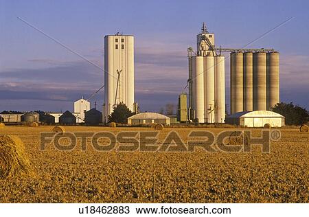 Late afternoon view of grain silos in hay field View Large Photo Image Stock Image - Late afternoon view of grain silos in hay field. Fotosearch
