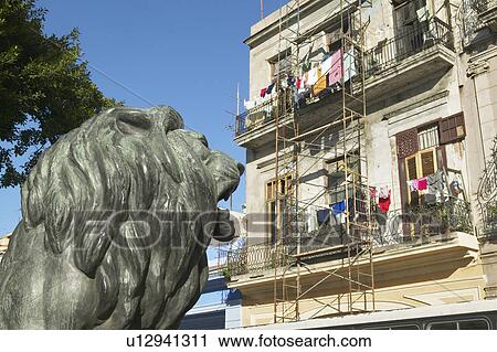Lion statue looking at old buildings with laundry View Large Photo Image Stock Image - Lion statue looking at old buildings with laundry. Fotosearch